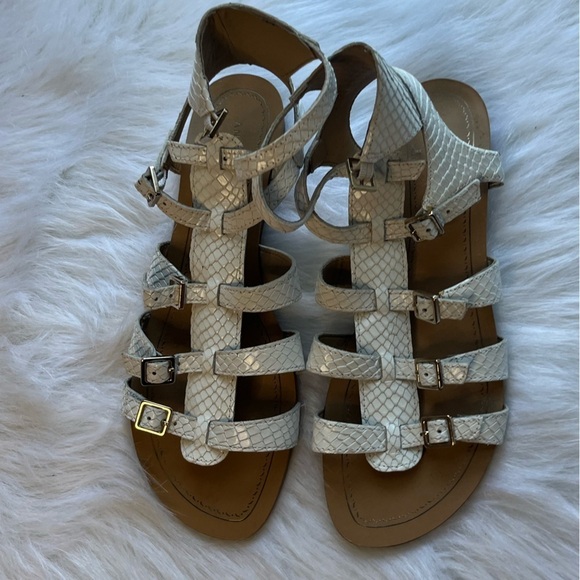 ANTONIO MELANI Shoes - Antonio Melani Fea Gladiator White Sandal in St. Tropez Size 8